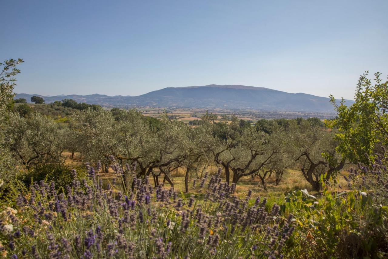 Villa Colle Di Rocco Limigiano Экстерьер фото